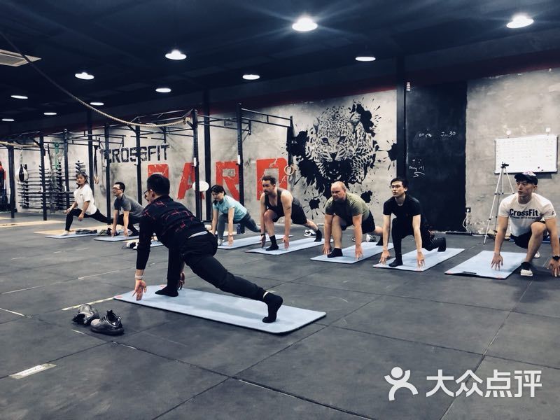 crossfit pard运动表现训练中心