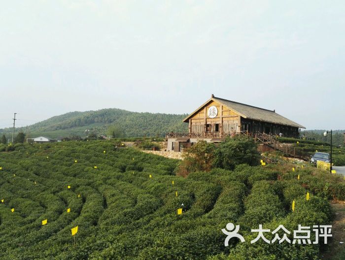 黄龙岘金陵茶文化旅游村-图片-南京周边游-大众点评网