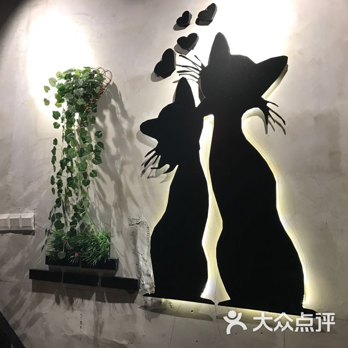 漫猫咖啡(天长东路店)图片 - 第1张