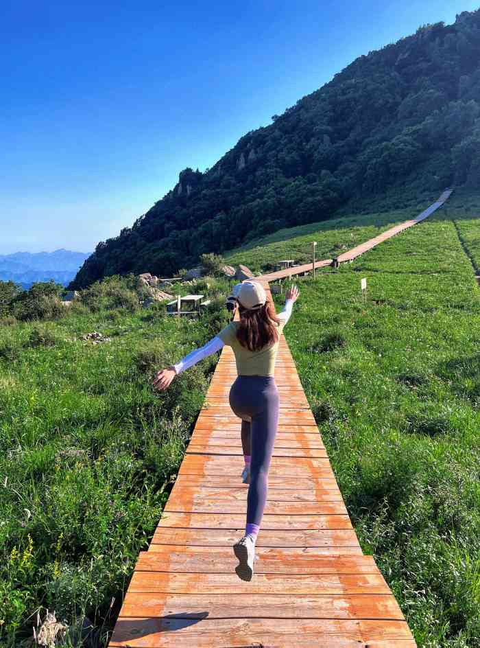 白草畔自然风景区"在山顶的风景名胜区,开车上来,盘山路,晕.