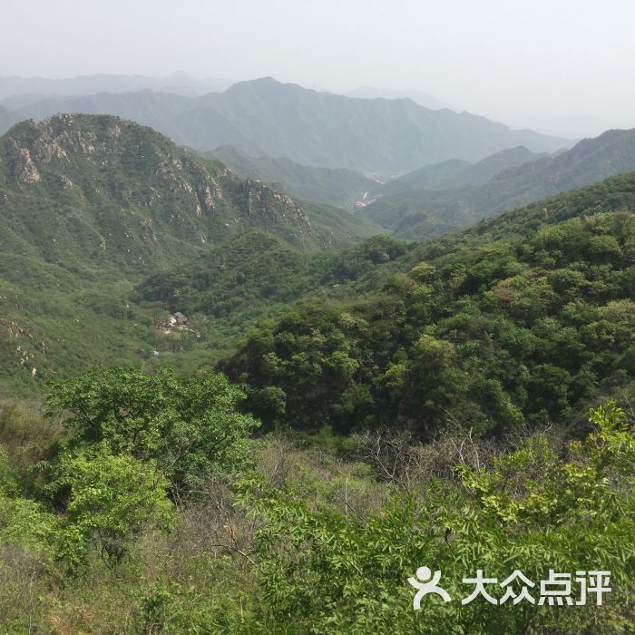 大岭沟猕猴桃谷风景区