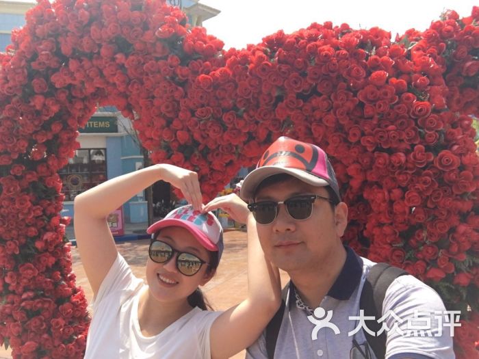 沈阳方特夜场一日游-图片-沈阳生活服务-大众点