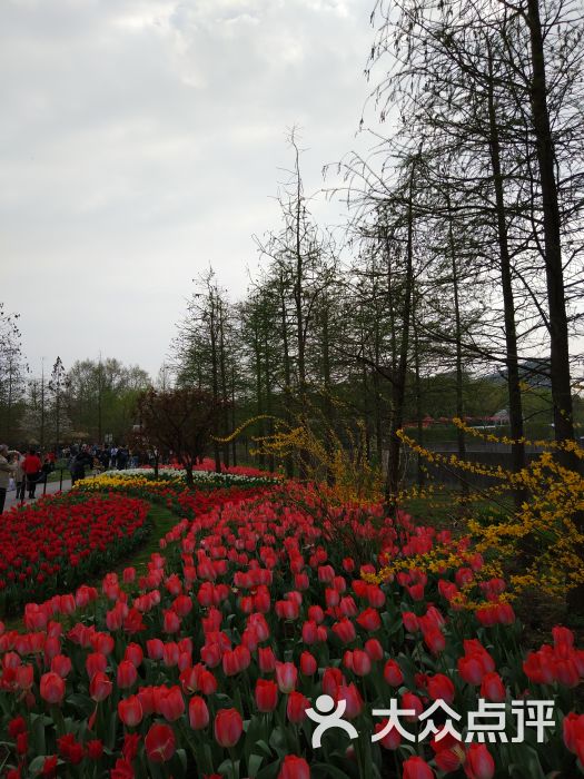 上海植物园图片 第3张