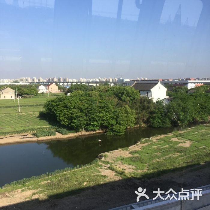 沈杜公路-地铁站图片 第1张
