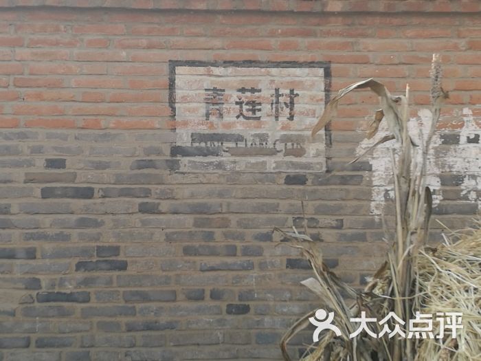 青莲岗文化遗址图片 第14张