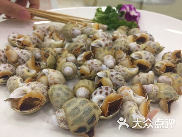 盐焗花螺
