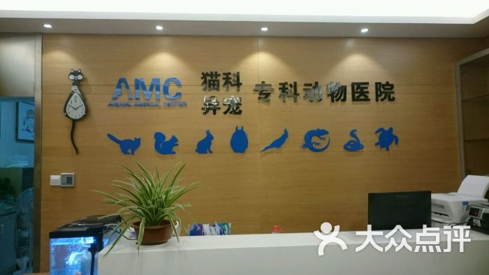 amc猫科异宠店内图片 - 第1张