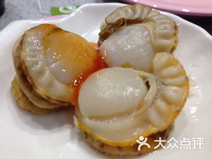 帆立贝