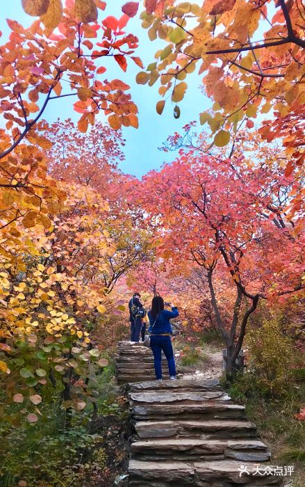 美醉了我的大房山坡峰岭,周六九点驱车东五.