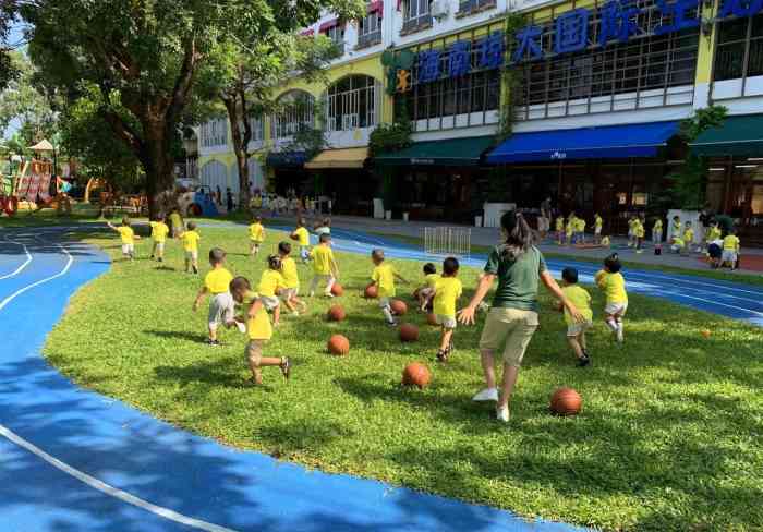 海南琼大幼儿园-"位于落笔洞路那边,对面就是君和君泰