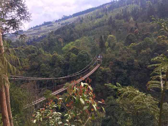 南宝山旅游区天罡长寿苑-"在南宝山景区内,环境还是很