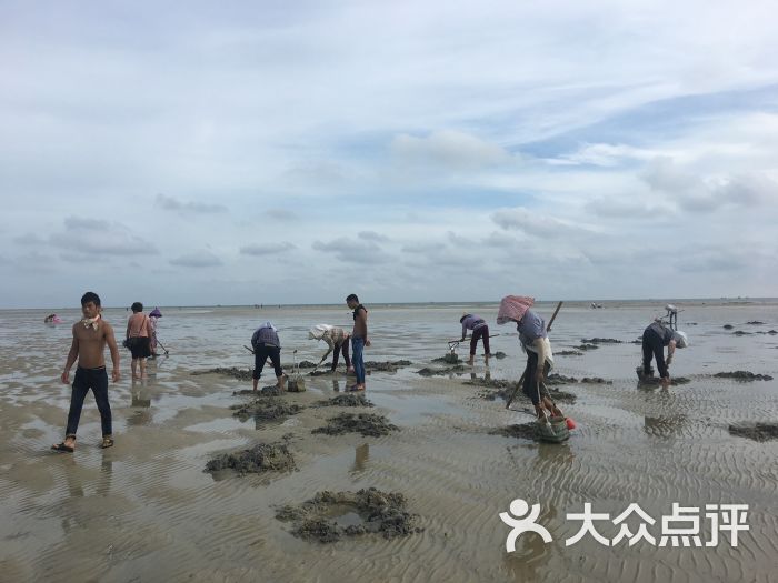 红树林拾贝赶海-图片-北海周边游-大众点评网