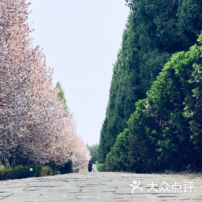 秦始皇陵丽山园景区