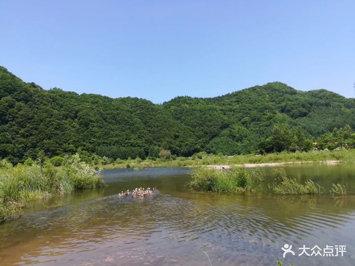 湖里景区-图片-本溪满族自治县周边游-大众点评网