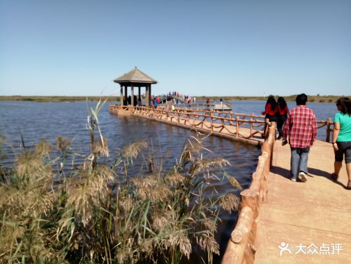 黄河口生态旅游区景点图片 - 第8张