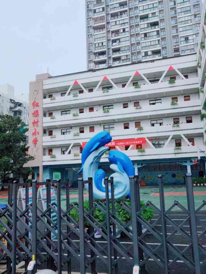 硚口区红旗村小学[糖果]红旗村小学位于中山大道189号.