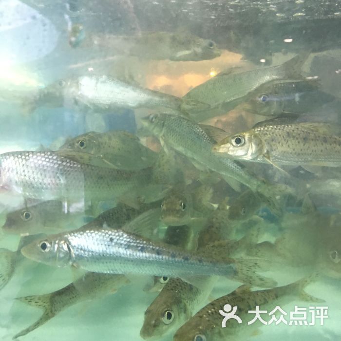 鱼小筑河鲜自助(卓锦曼购中心店)土凤图片 第13张