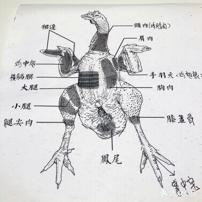 静酩酒馆 威士忌烧鸟图片