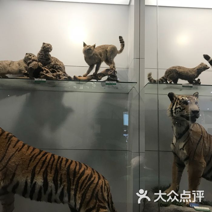 国家动物博物馆
