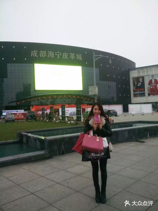 海宁皮革城图片