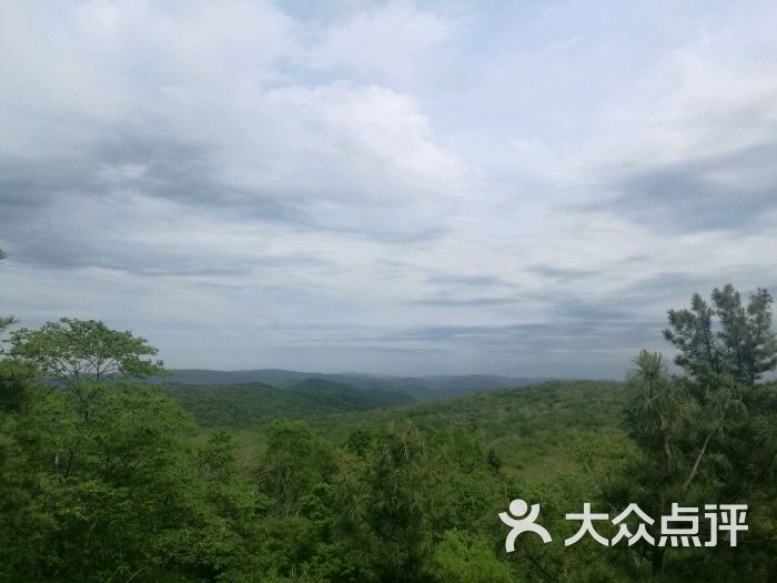 金龙山国家森林公园图片 第103张