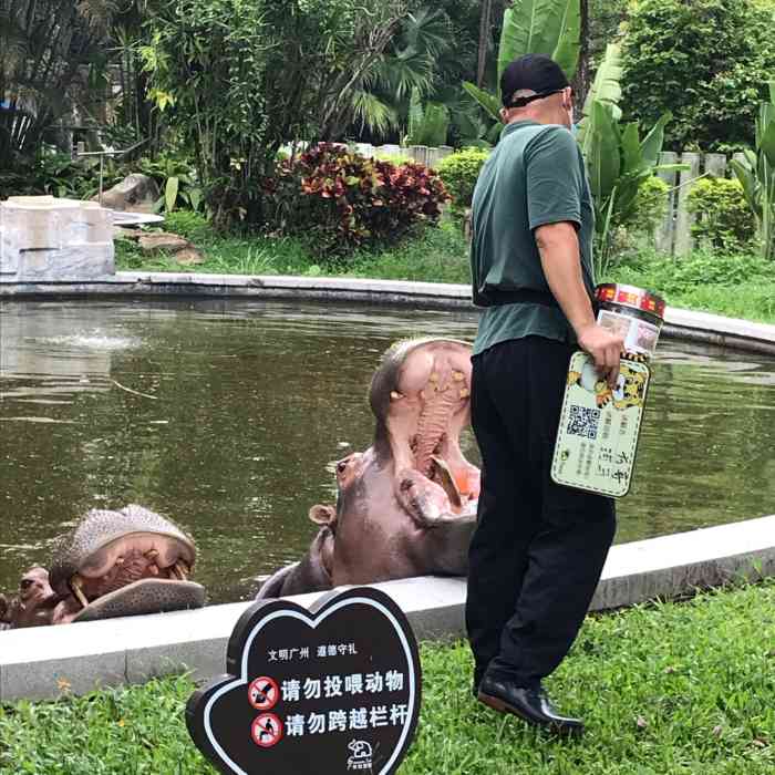 可以安安静静看小动物,墙上无处不在的标语说"禁止投喂"就是字面意思