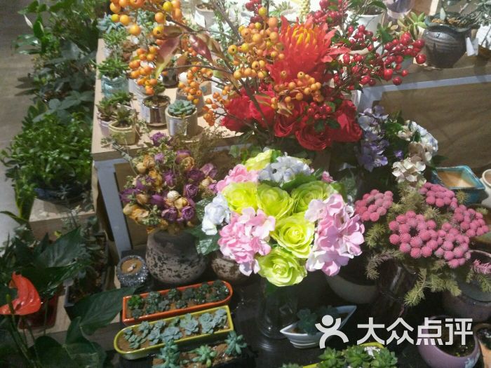 江阴路花鸟店图片 - 第1张