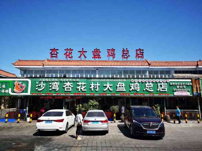 沙湾杏花村大盘鸡总店-"就像柴窝堡的辣子鸡一条街,这