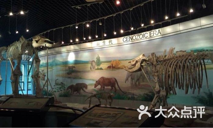 古生物博物馆