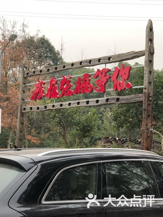 我在张桥等你图片 - 第1张
