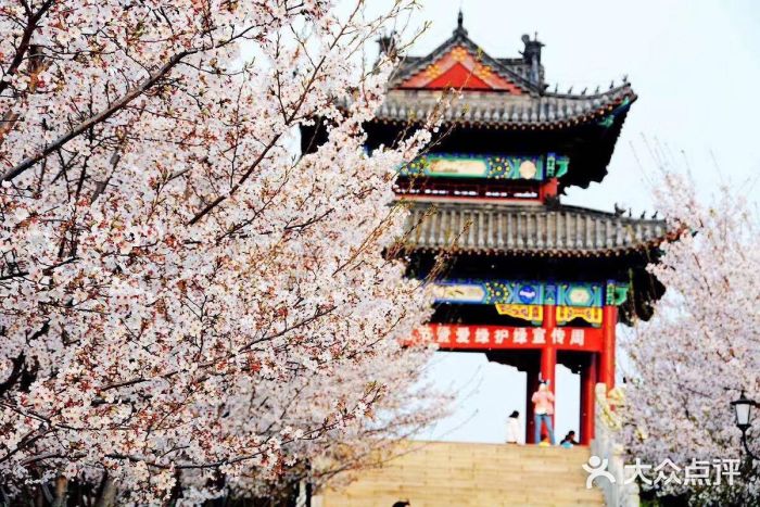 胜利山小区-图片-沂源县生活服务-大众点评网