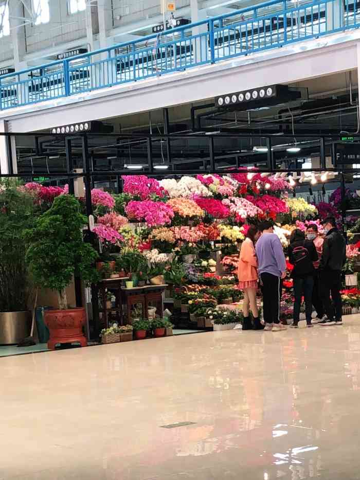 蟹岛国际花卉-"蟹岛里新开业的花卉市场,里面很宽敞,.