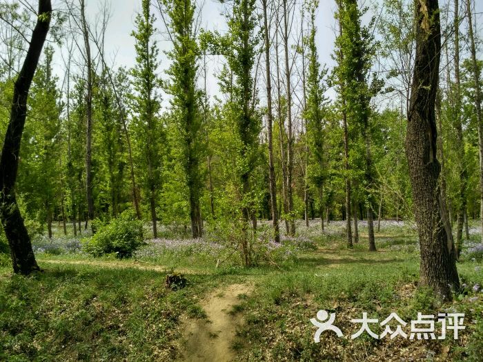 黄草湾郊野公园图片 - 第130张