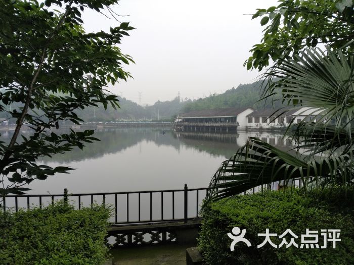 毛家湾森林公园图片 - 第4张
