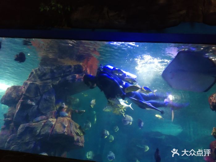 蠡湖中央公园海底世界图片 - 第16张