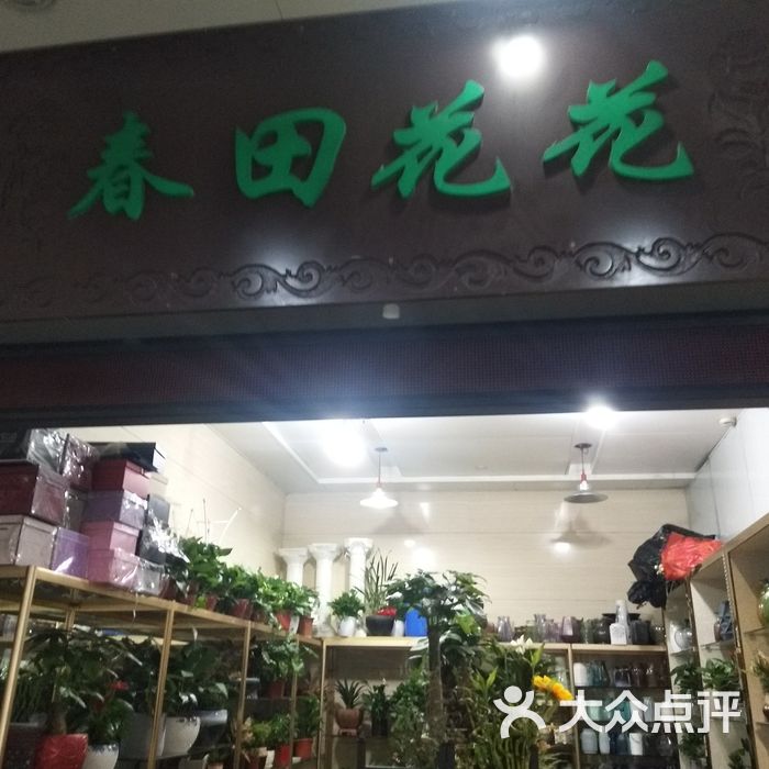 春田花花