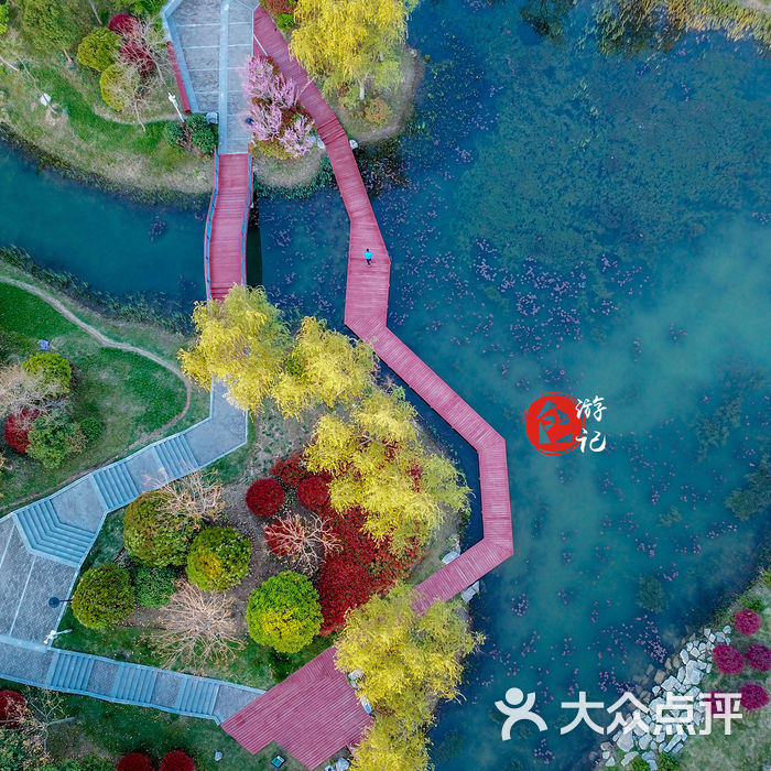 雪枫公园