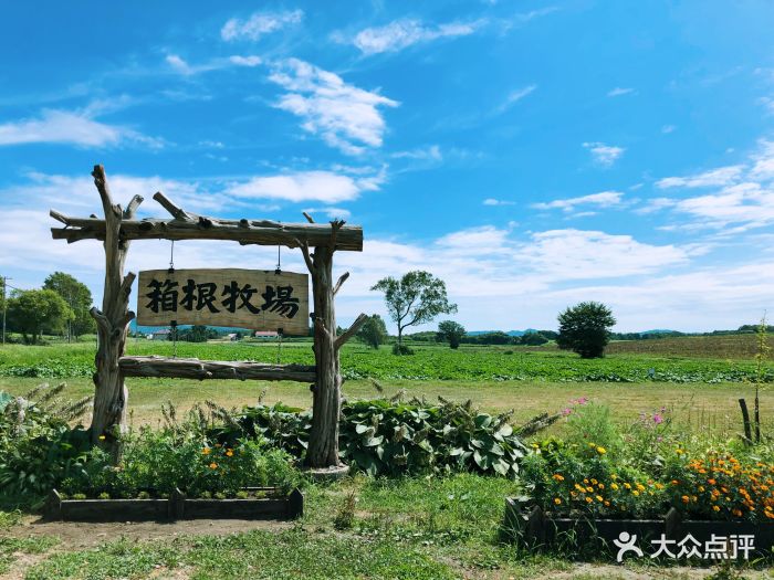 北海道箱根牧场图片 - 第22张