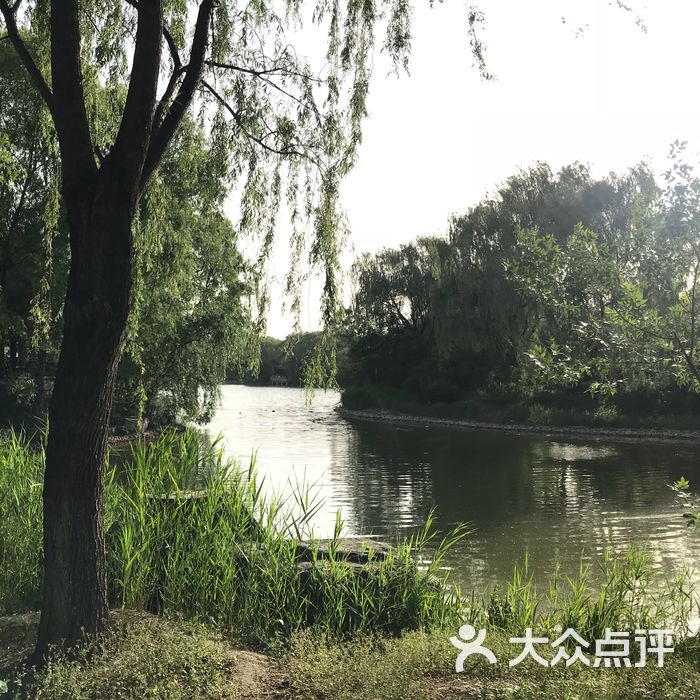 旺兴湖郊野公园