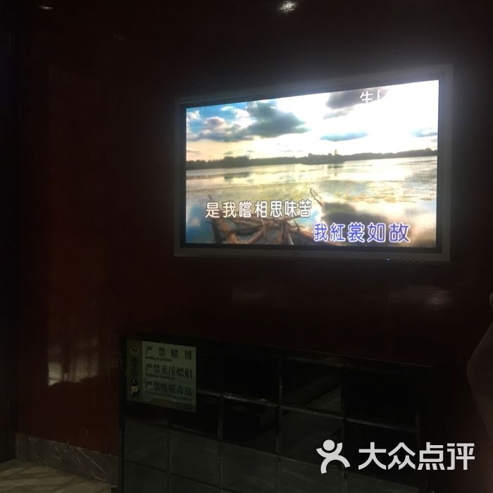 兔兔不吃萝卜,           假装在吃面           披萨先