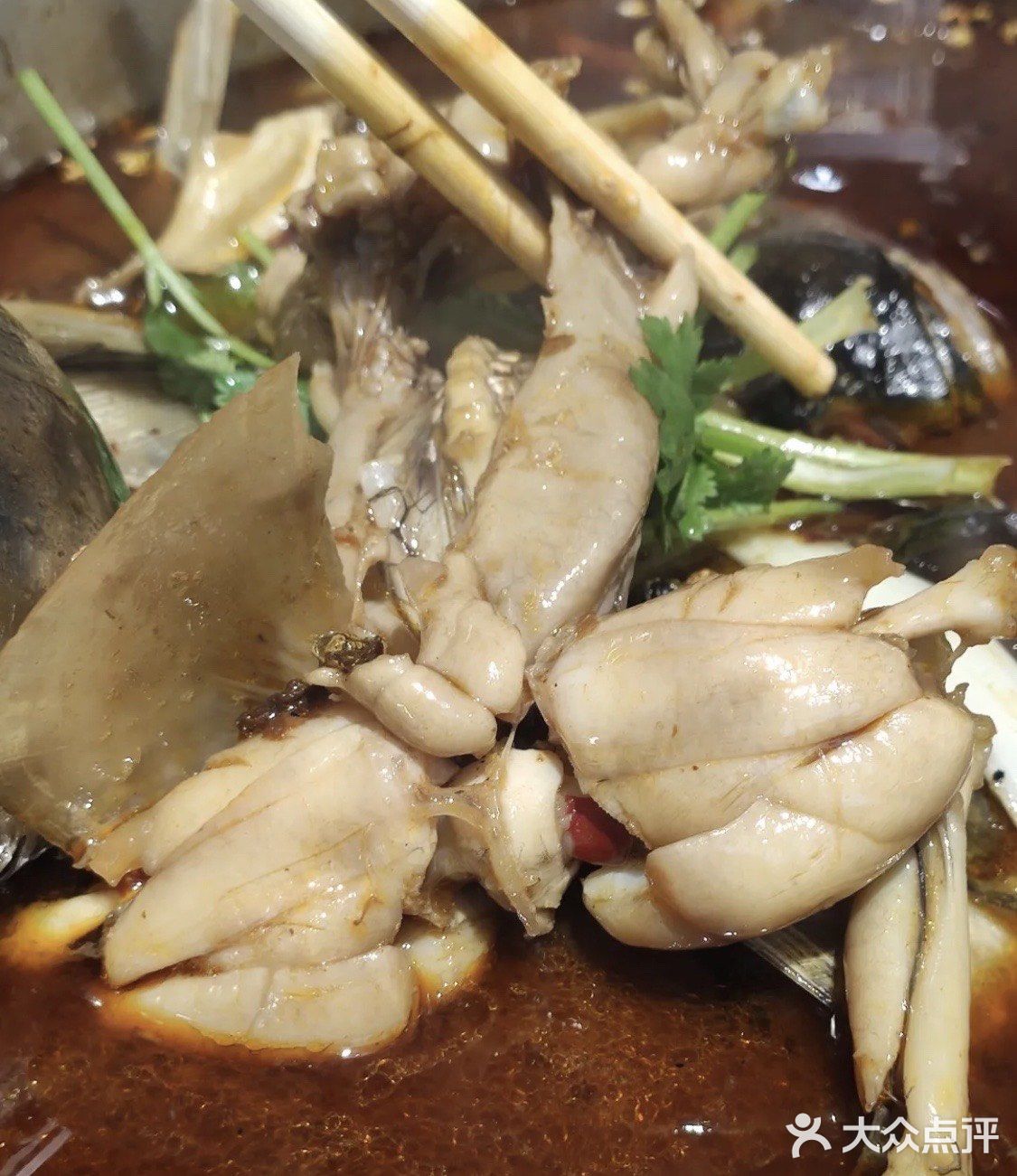 来广州怎么能不吃一口味之绝美蛙鱼头火锅的美蛙,花鲢