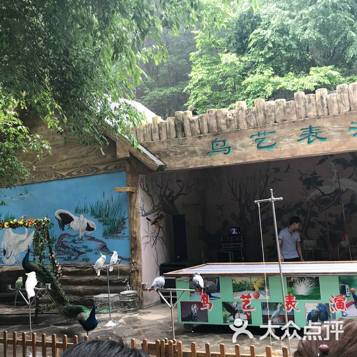吉林省东北虎园图片-北京动物园-大众点评网