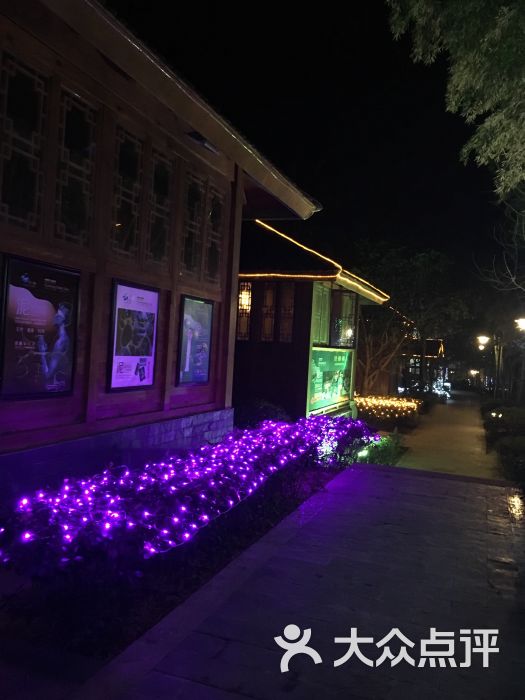 洪湖悦兮半岛国际温泉度假村-图片-洪湖市酒店-大众