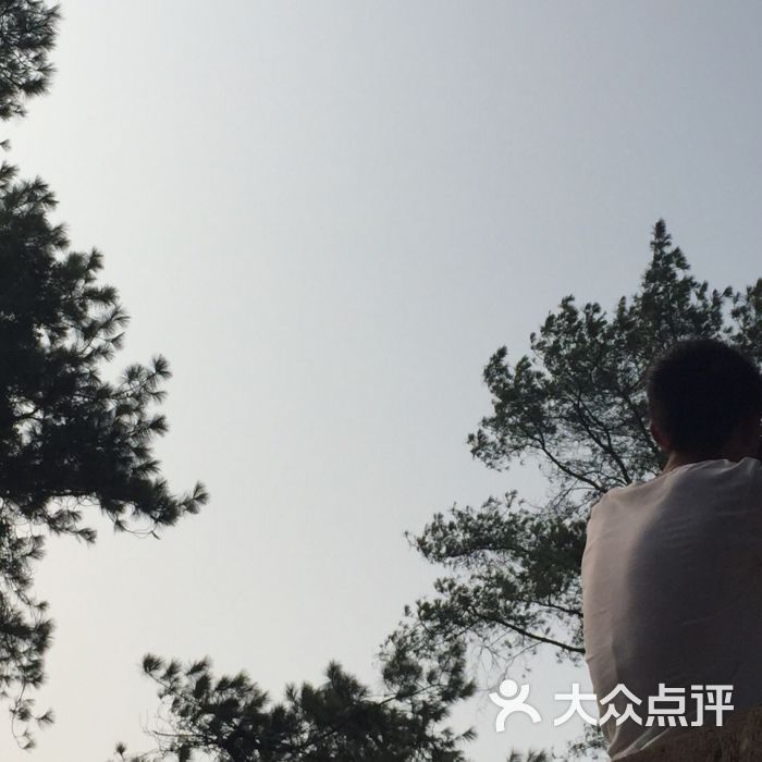 大金鹰园大金鹰公园图片 - 第50张