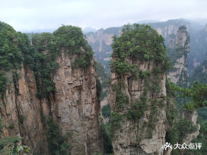 袁家界风景区景点图片 - 第63张