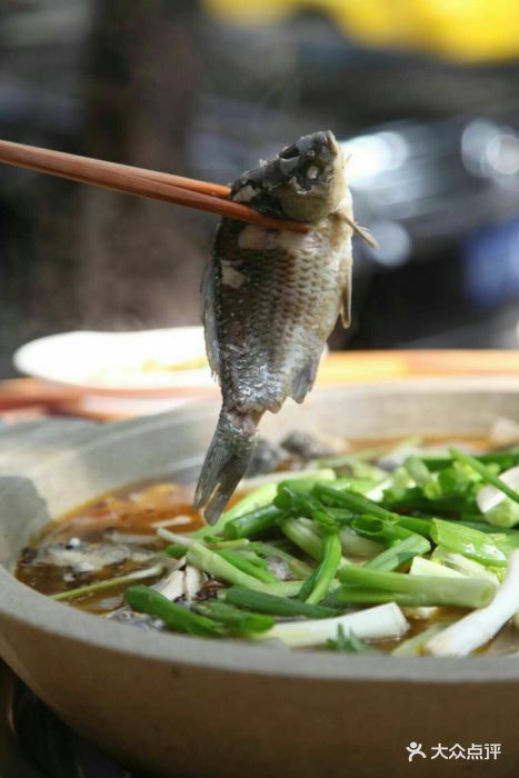 石锅土鲫鱼图片 第4张