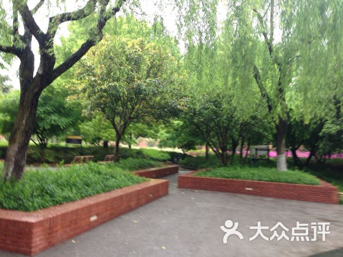四川北路公园图片 第117张
