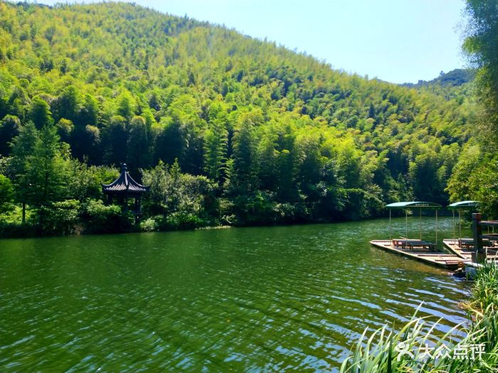 天目湖南山竹海-图片-溧阳周边游-大众点评网