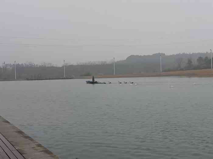 仙鹤湖湿地园-"去过的唯一的公园式墓地由泰康投资,不