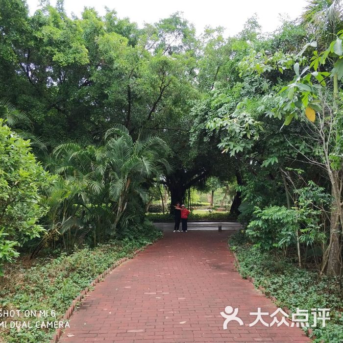 湛江市森林公园